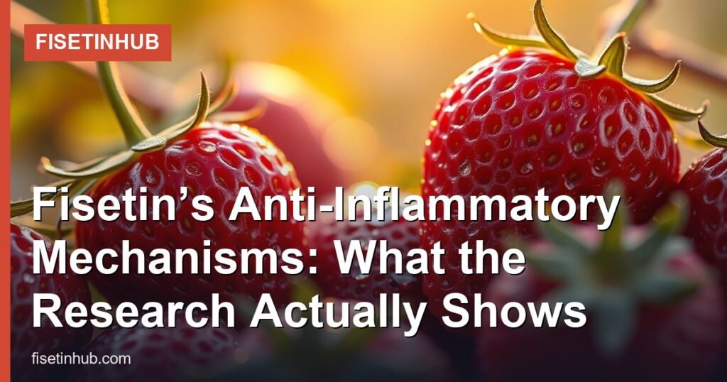 Fisetin’s Anti-Inflammatory Mechanisms: What the Research Actually Shows - FisetinHub