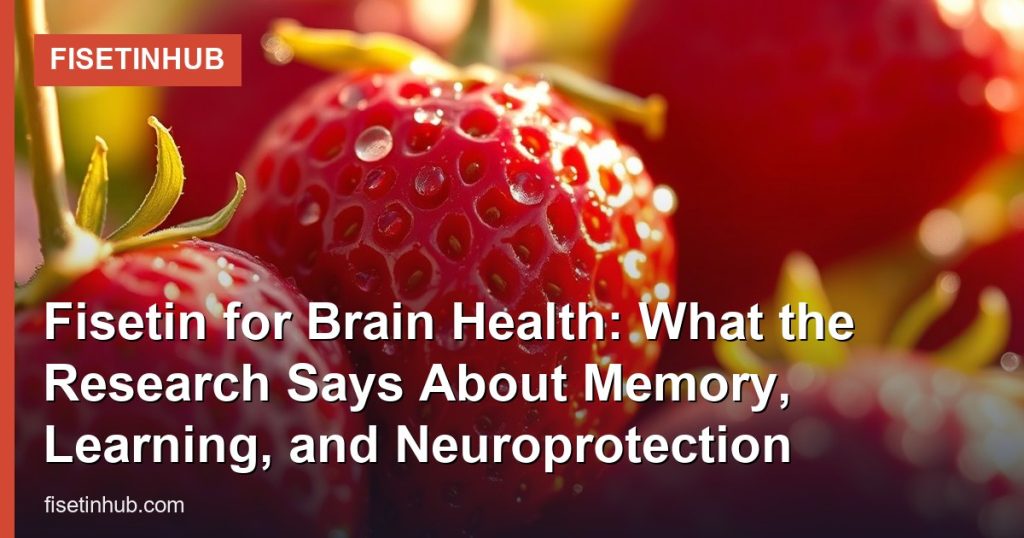 Fisetin for Brain Health: What the Research Says About Memory, Learning, and Neuroprotection - FisetinHub