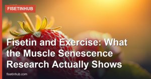 Fisetin and Exercise: What the Muscle Senescence Research Actually Shows