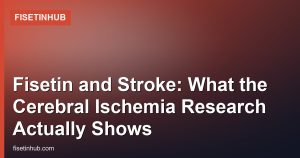 Fisetin and Stroke: What the Cerebral Ischemia Research Actually Shows
